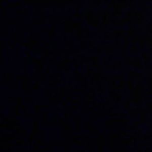 Meet your Posher, Bernice